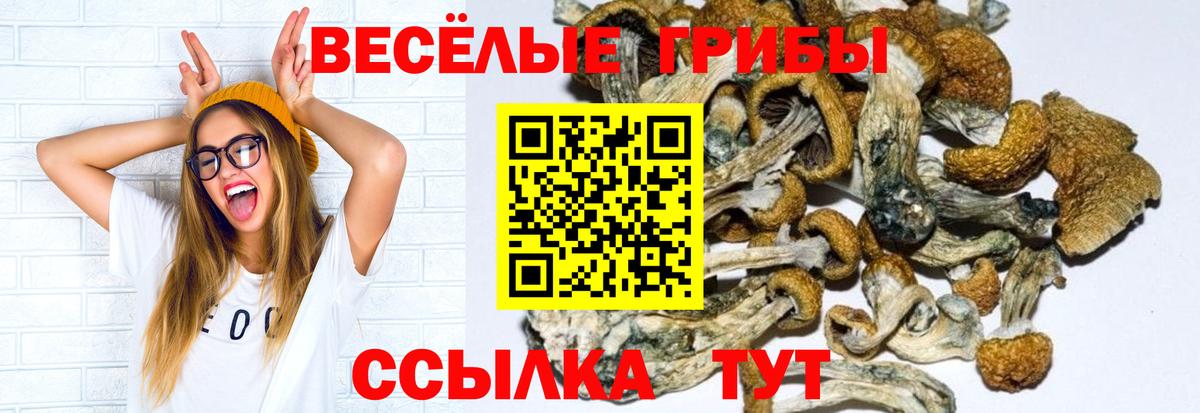 Псилоцибиновые грибы Magic Shrooms Красноуфимск