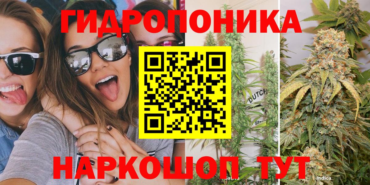 Бошки Шишки конопля Красноуфимск